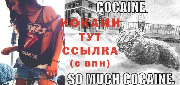 амф Балахна