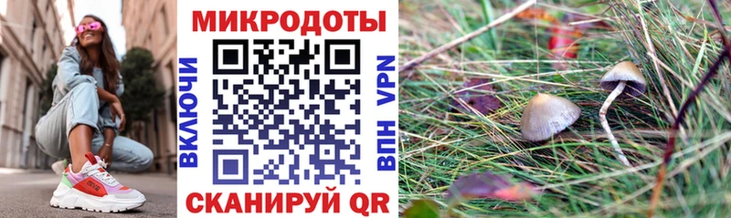 Галлюциногенные грибы Magic Shrooms Верхотурье